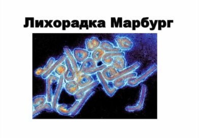 Вирусная геморрагическая лихорадка Марбург – что это такое?